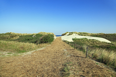 Ameland-Holland: Der Kaapsduunpad