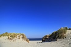 Ameland-Holland: Dünenlandschaften am Kaapsduunpad.