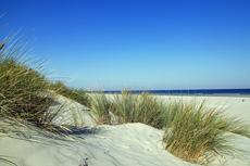 Ameland-Holland: Dünenlandschaften am Kaapsduunpad..