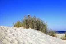 Ameland-Holland: Dünenlandschaften am Kaapsduunpad.