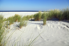 Ameland-Holland: Dünenlandschaften am Kaapsduunpad.