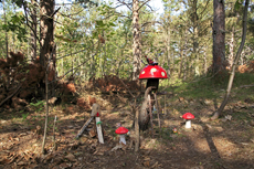 Ameland-Holland: Merkwürdige Gebilde findet man im Wald von Hollum.