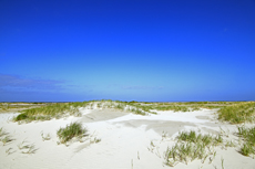 Ameland-Holland: Lange Dünen.