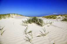 Ameland-Holland: Lange Dünen.