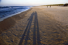 Ameland-Holland: Schattenbilder am Stand von Buren.