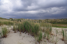 Ameland-Holland: Gewitterstimmung über den Kooidünen.