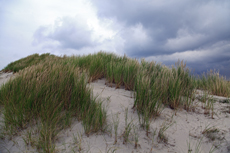 Ameland-Holland: Gewitterstimmung über den Kooidünen.