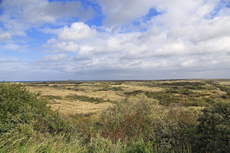 Ameland-Holland: Het Oerd: der weite Blick von der hohen Düne Oerdblinkert auf die naturbelassene Urlandschaft der Oerderdünen.