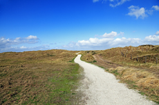 Ameland-Holland: Die Hollumer Dünen gehören zu einer ausgedehnten und jahrhundertealten Dünenlandschaft.