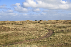 Ameland-Holland: Die Hollumer Dünen gehören zu einer ausgedehnten und jahrhundertealten Dünenlandschaft.