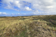 Ameland-Holland: Die Hollumer Dünen gehören zu einer ausgedehnten und jahrhundertealten Dünenlandschaft.