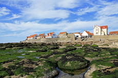 Audresselles-Frankreich<br />Bizarre Felsformationen verzaubern die Küstenlandschaft von Audresselles.