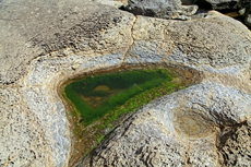 Audresselles-Frankreich<br />Kleinere und größere Aquarien bilden sich bei Ebbe in der Felsenlandschaft und sind noch voller Leben.