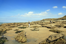 udresselles-Frankreich<br />Von Audresselles nach Cap Griz-Nez, das ist nicht immer eine einfache aber eine absolut lohnenswerte Wanderung mit fantastischen Aussichten direkt an der Küste entlang.