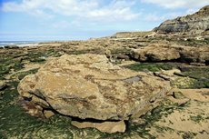 Audresselles-Frankreich<br />Von Audresselles nach Cap Griz-Nez, das ist nicht immer eine einfache aber eine absolut lohnenswerte Wanderung mit fantastischen Aussichten direkt an der Küste entlang.