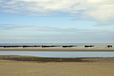 Audresselles-Frankreich<br />Die Wanderung geht weiter. Vom Cap Griz-Nez über den weitläufigen Sandstrand nach Wissant. Im Hintergrund die aus dem Meer ragenden Muschelzäune, an denen im großen Stil Miesmuscheln gezüchtet werden.