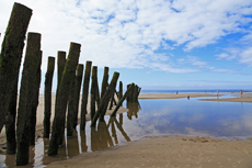 Audresselles-Frankreich<br />Muschelzaun zur Zucht von Miesmuscheln am Srand von Wissant.