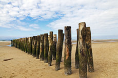 Audresselles-Frankreich<br />Muschelzaun zur Zucht von Miesmuscheln am Srand von Wissant.