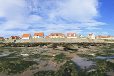 Audresselles-Frankreich<br />Panoramablick auf die wilde und natürliche Küste von Audresselles.