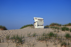 Borkum: Ein einsamer Strandkorb im Morgenlicht in den Süddünen.