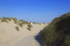 Borkum: Die Süddünen im Morgenlicht..