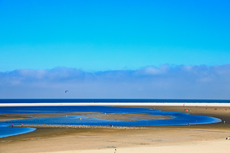 Borkum – eine Insel im Wandel der Gezeiten: Borkum Hohes Riff - die Insel im Wandel.