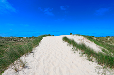 Borkum: In den Norddünen.