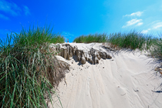 Borkum: In den Norddünen - Dünenskulptur am Strandcafé Seeblick.