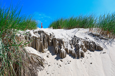 Borkum: In den Norddünen - Dünenskulptur am Strandcafé Seeblick.