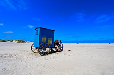 Borkum: Am Nordstrand - Strandwanderer ruhen sich am Badekarren aus.