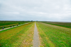 Borkum: Auf dem neuen Seedeich.