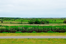 Borkum: Der Blick vom neuen Seedeich auf die Außenweiden.