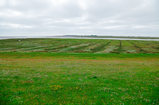 Borkum: Der Blick vom neuen Seedeich auf die Salzwiesen und das Wattenmeer.