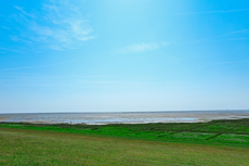 Der Blick vom neuen Seedeich auf die Salzwiesen und das Wattenmeer.