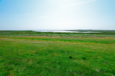 Borkum: Der Blick vom neuen Seedeich auf die Salzwiesen und das Wattenmeer.