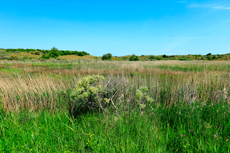 Borkum: Ostland – Dör de Hahlingjes.