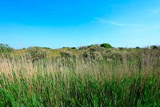 Borkum: Ostland – Dör de Hahlingjes