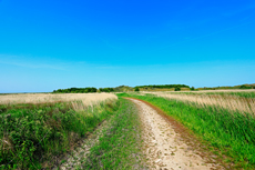Borkum: Ostland – Dör de Hahlingjes