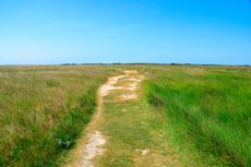 Borkum: Ostland – Dör de Hahlingjes