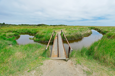 Borkum: Ostland – Dör de Hahlingjes.