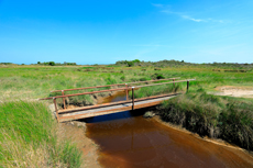 Borkum: Ostland – Dör de Hahlingjes.