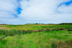 Borkum: Ostland – Dör de Hahlingjes.