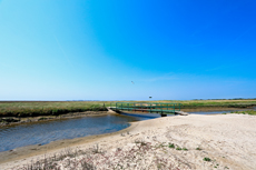 Borkum: Ostland – Dör de Hahlingjes.