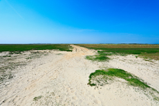 Borkum: Ostland – Dör de Hahlingjes.