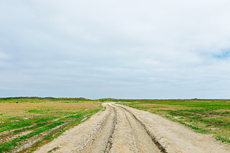 Borkum: Ostland – Dör de Hahlingjes.