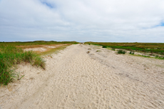 Borkum: Ostland – Dör de Hahlingjes.