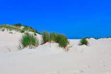 Borkum: Ostland – Dünenlandschaften Hoge Hörn.