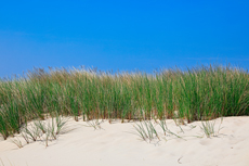 Borkum: Ostland – Dünenlandschaften Hoge Hörn.