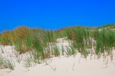 Borkum: Ostland – Dünenlandschaften Hoge Hörn.