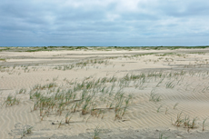 Borkum: Ostland – Hoge Hörn ist die östlichste Ecke von Borkum.